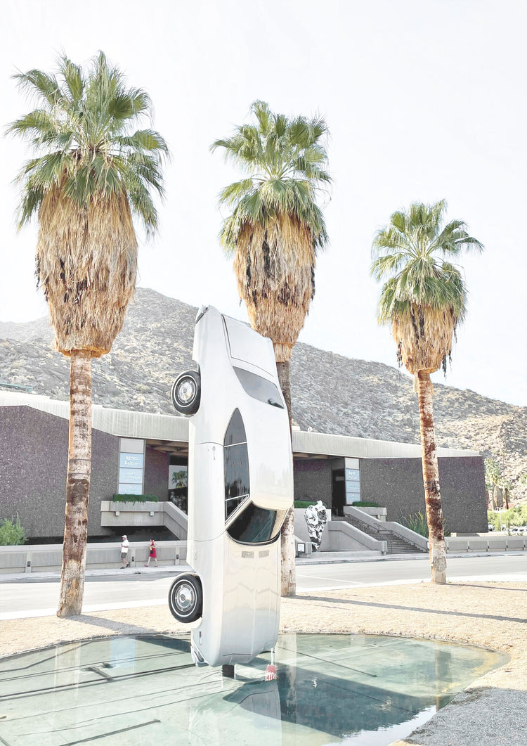 Palm Springs Art Museum - Outdoor Art Installation