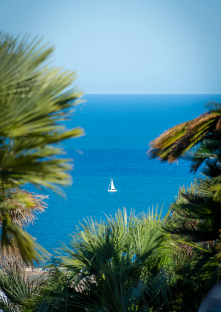 Riviera Blue