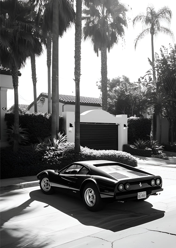 Palm Springs Noir