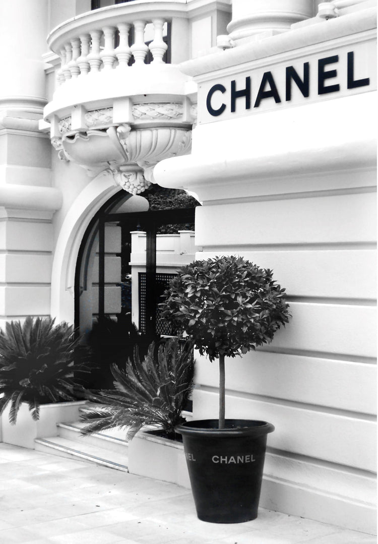 Parisian Facade, Framed in White