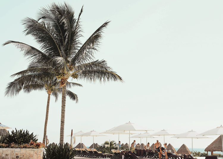 Cabo Shade. Cabo San Lucas, Mexico