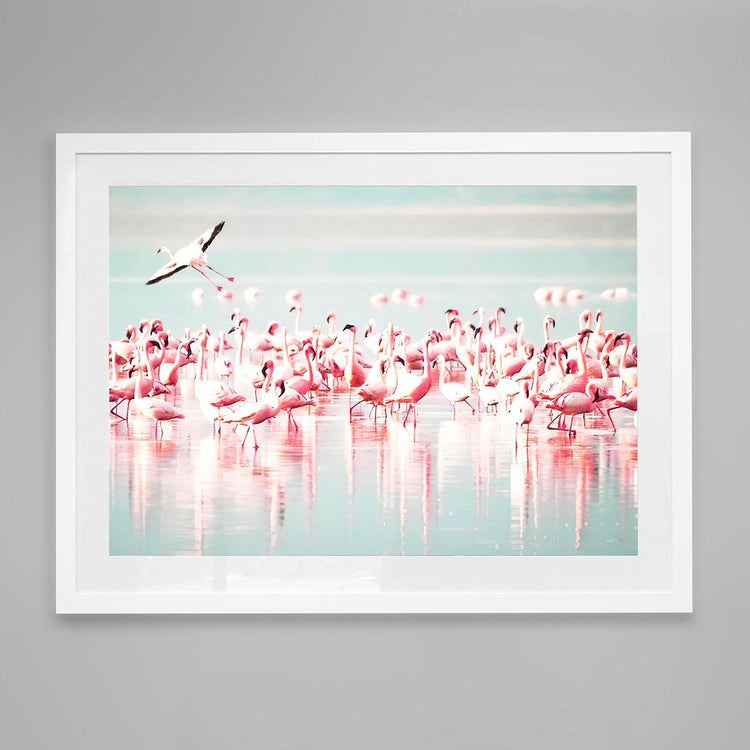 Desert Divas, Palm Springs Edition