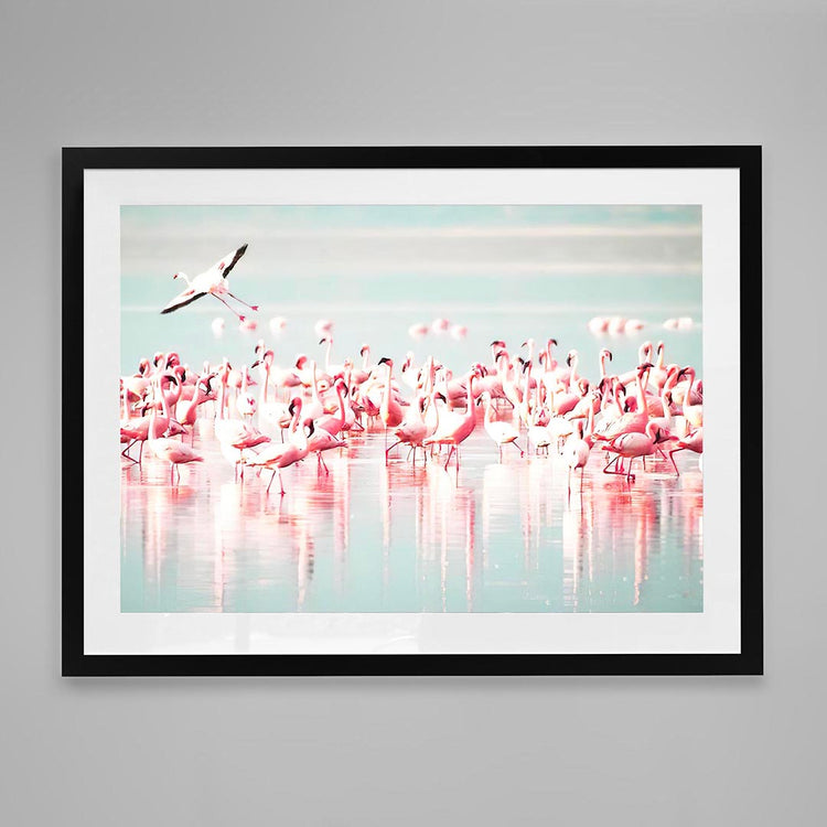 Desert Divas, Palm Springs Edition