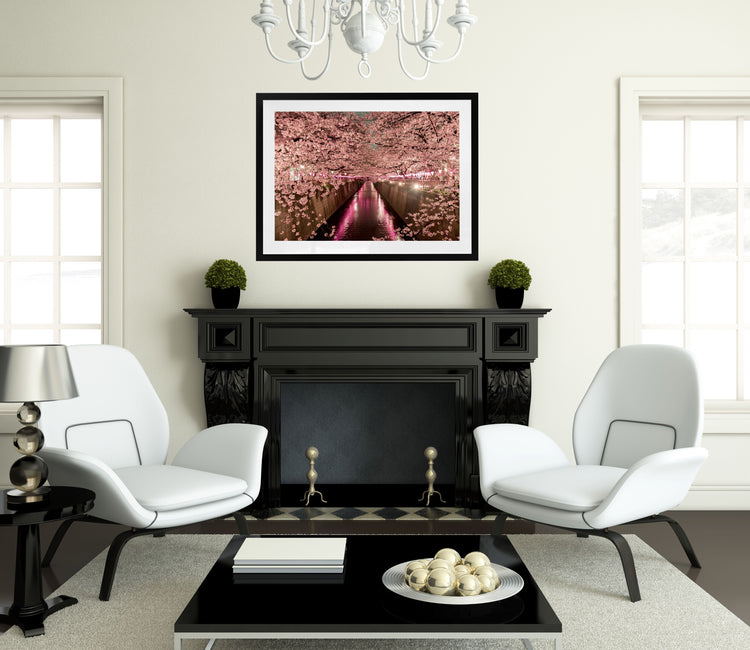 Cherry Blossoms, Meguro River, Tokyo, Japan.