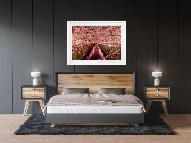 Cherry Blossoms, Meguro River, Tokyo, Japan.