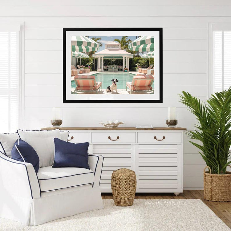 Poolside Palms & Paws