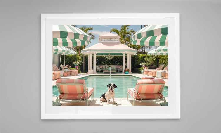 Poolside Palms & Paws
