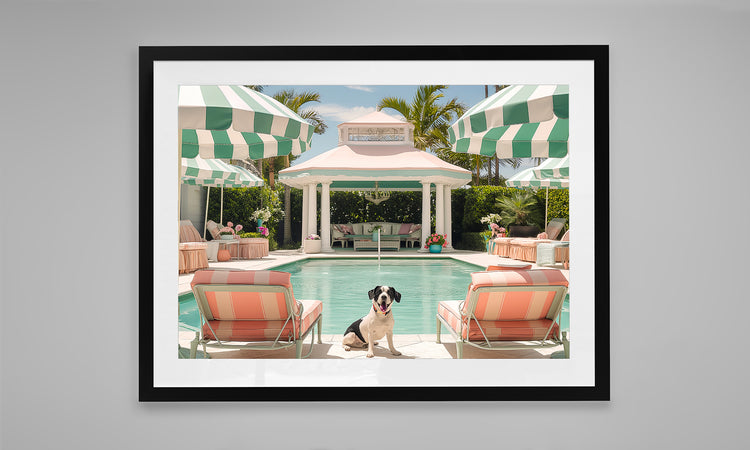 Poolside Palms and Sunshine