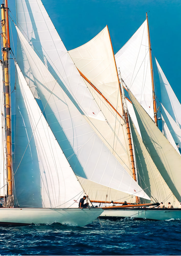 Fleet in Motion