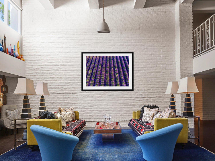 Lavender Field in Provence