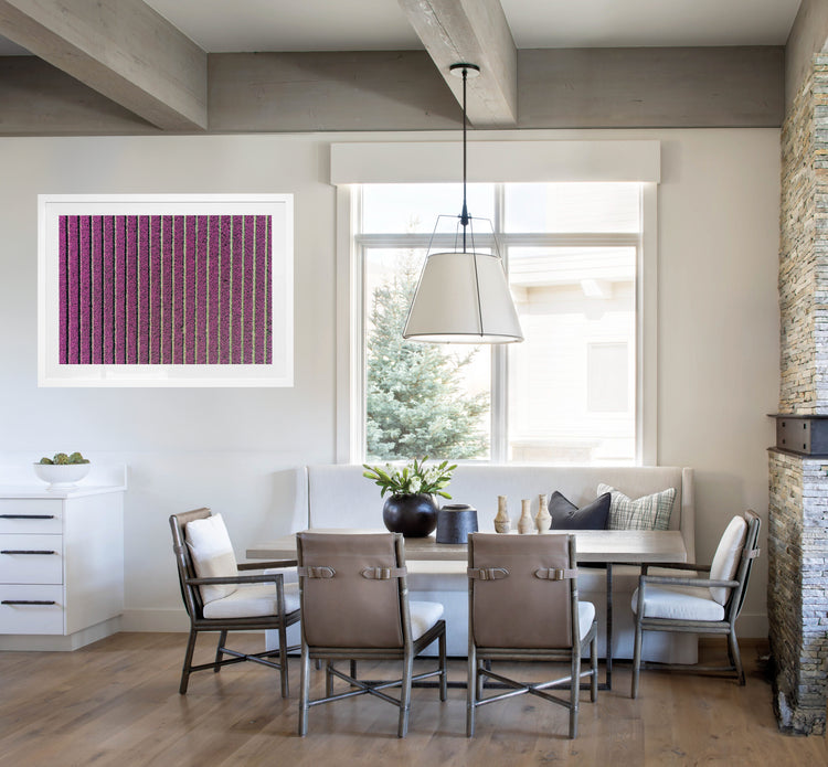 Lavender Field in Provence