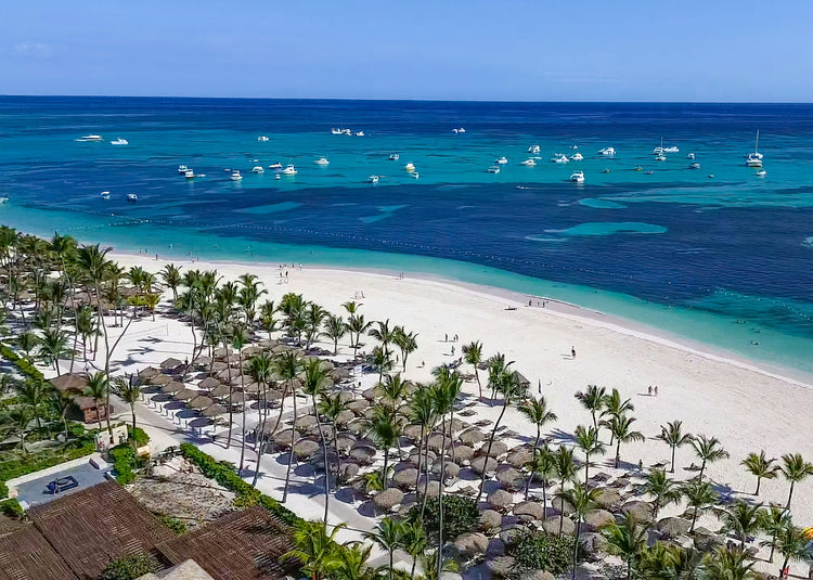 Palms & Parasols, Caribbean.