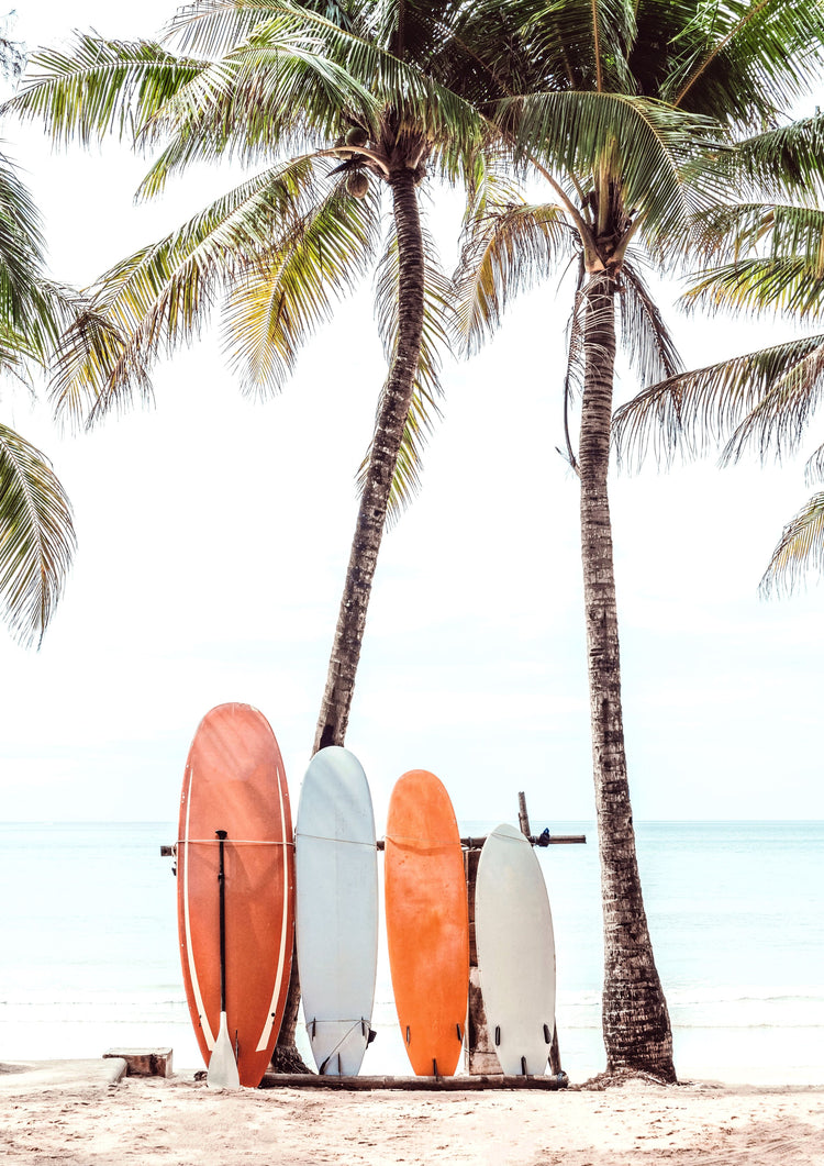 Palmside Rides
