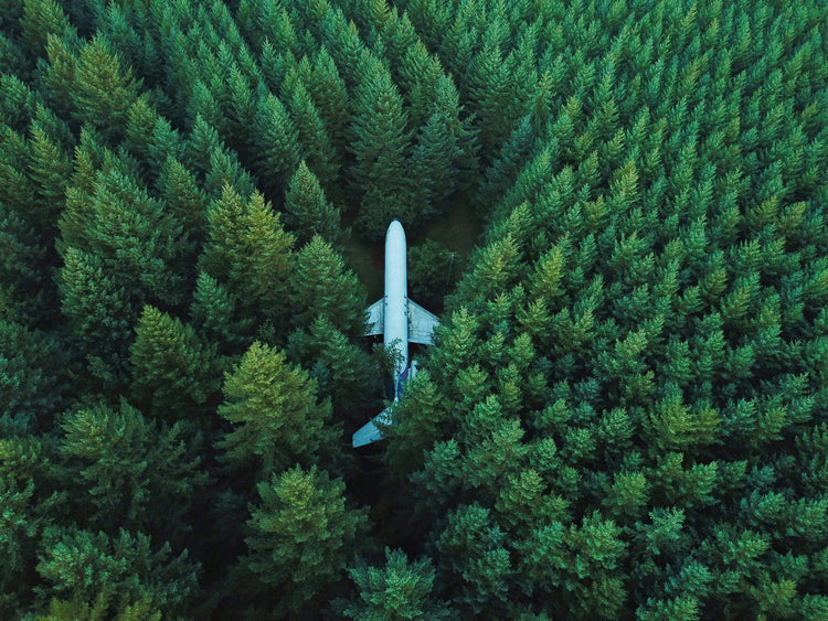 Boeing 727 in the Woods of Hillsboro, Oregon.