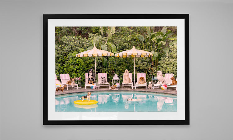 Pool Day at the Parker, Palm Springs.