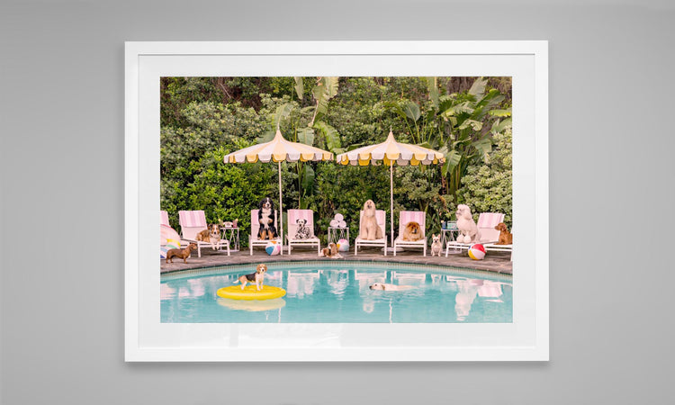 Pool Day at the Parker, Palm Springs.