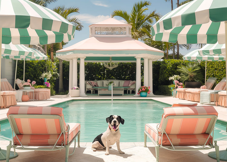 Poolside Palms & Paws