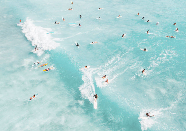 Ocean’s Playground