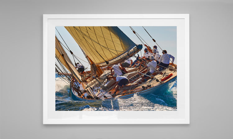 The Art of the Regatta