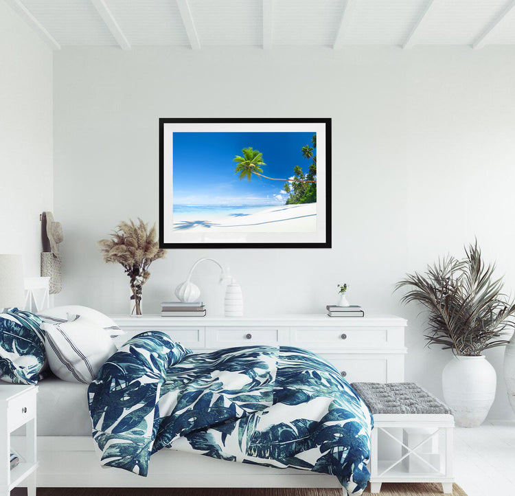 The Long Palm, Seychelles