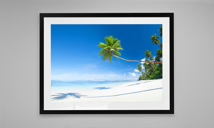 The Long Palm, Seychelles
