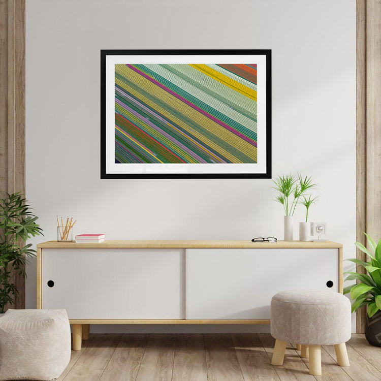 Fields of Wonder - Tulips