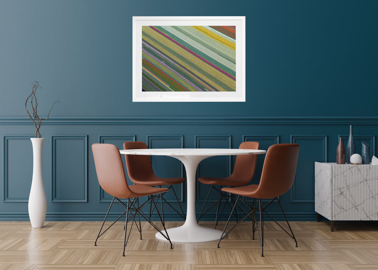 Fields of Wonder - Tulips