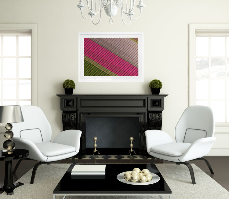 Fields of Joy - Tulips in The Netherlands