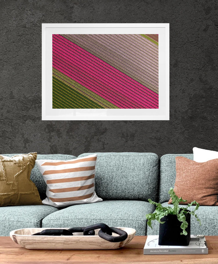 Fields of Joy - Tulips in The Netherlands