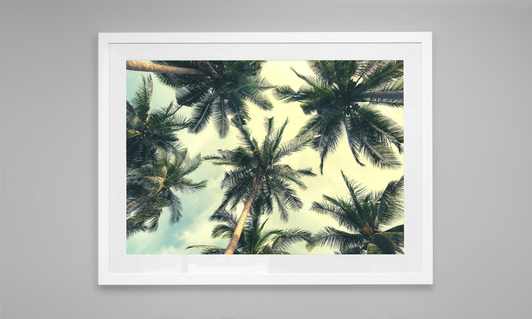Under The Palms