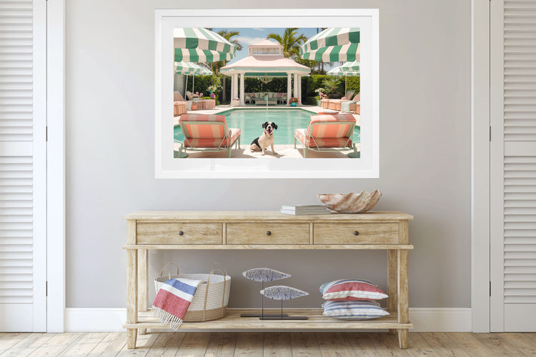 Poolside Palms & Paws