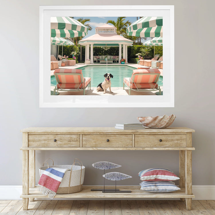Poolside Palms & Paws