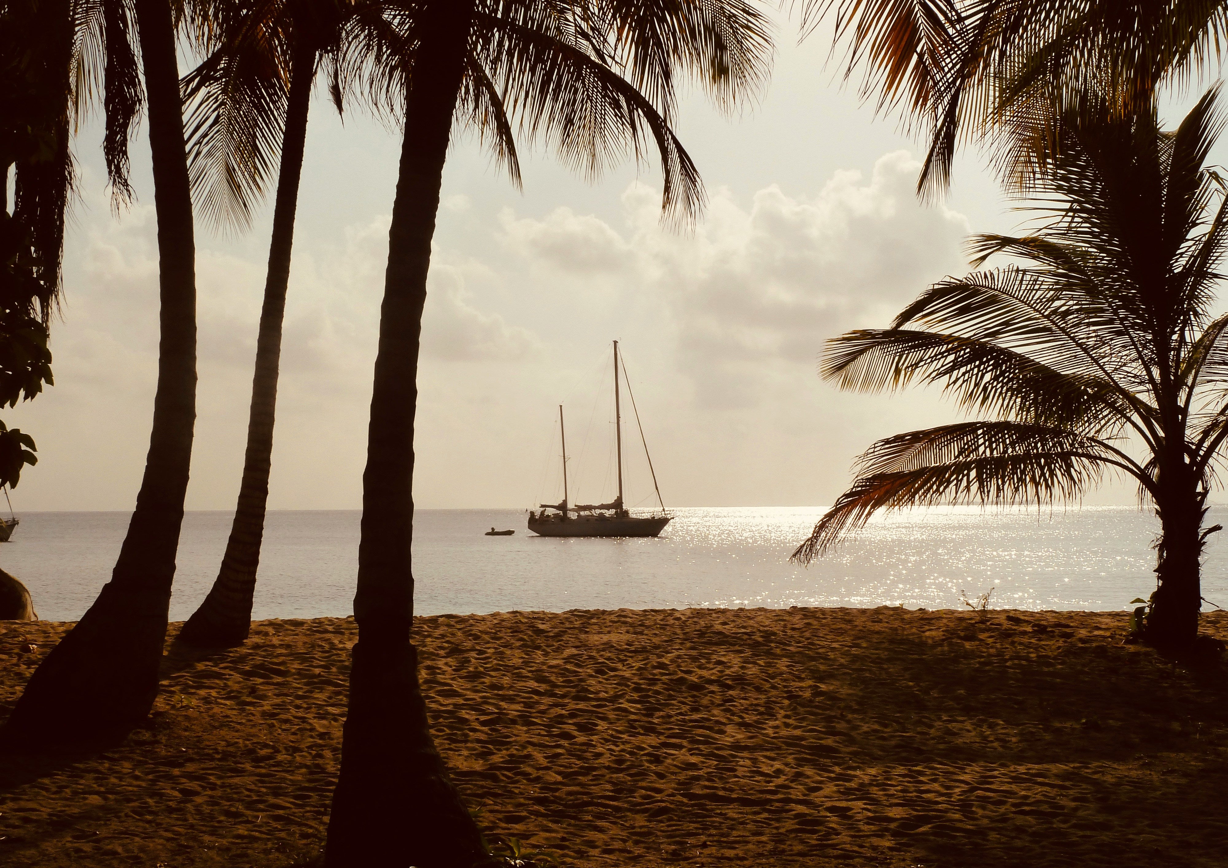The Anchorage