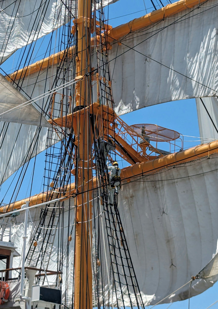 The Rigging