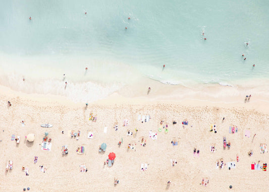 Summer in Soft Focus