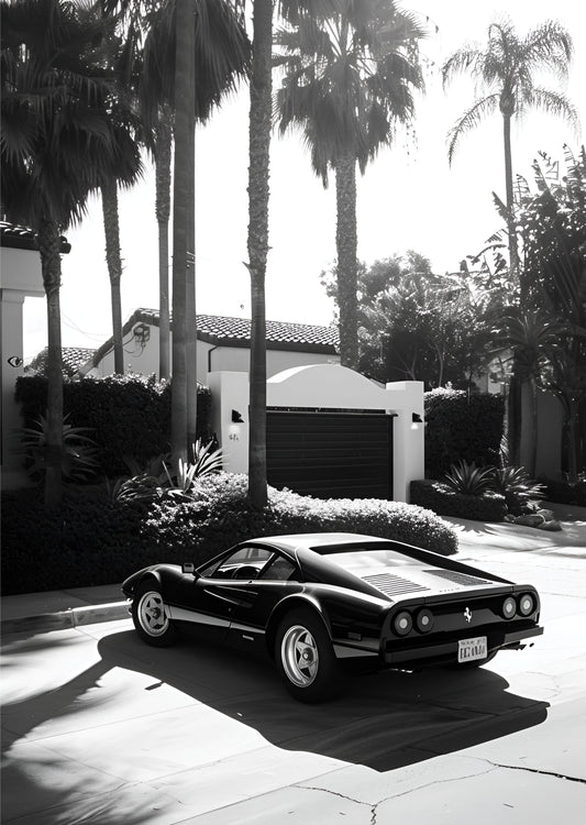 Palm Springs Noir