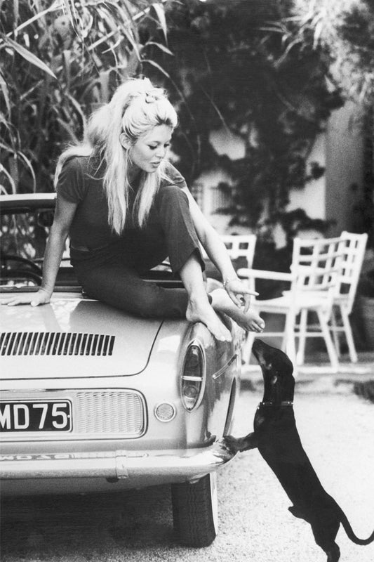 Brigette Bardot on Car
