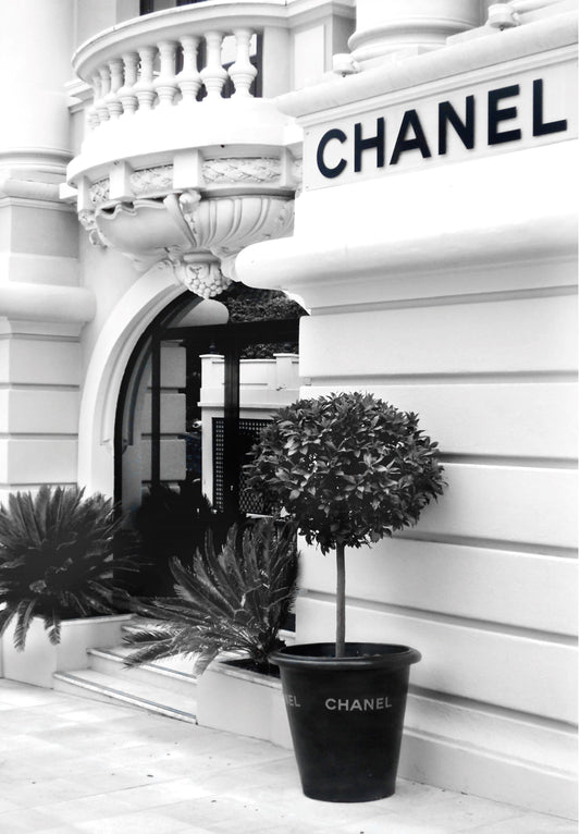 Parisian Facade, Framed in White