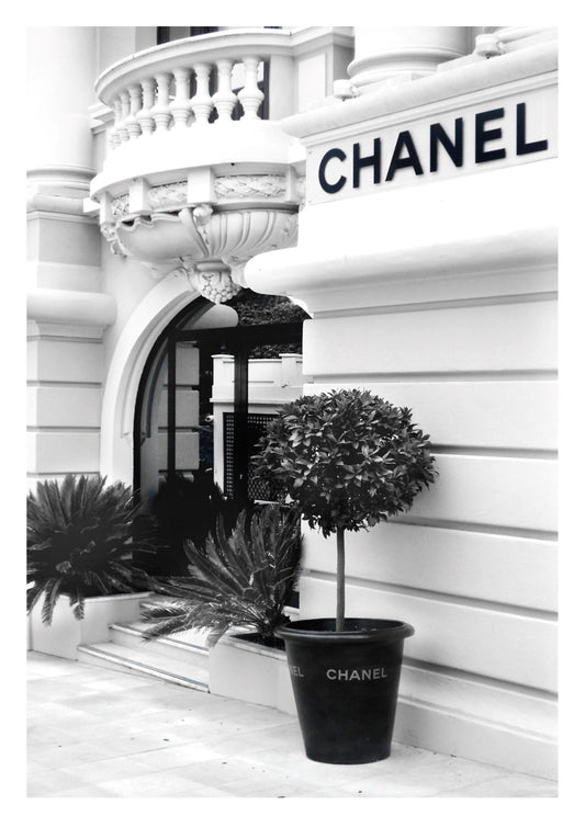 Opening the Door to Iconic Elegance