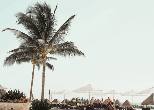 Cabo Shade. Cabo San Lucas, Mexico