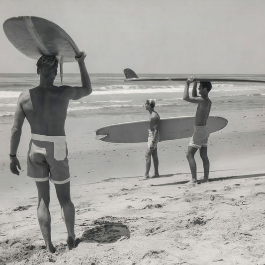 The Endless Summer (1966)