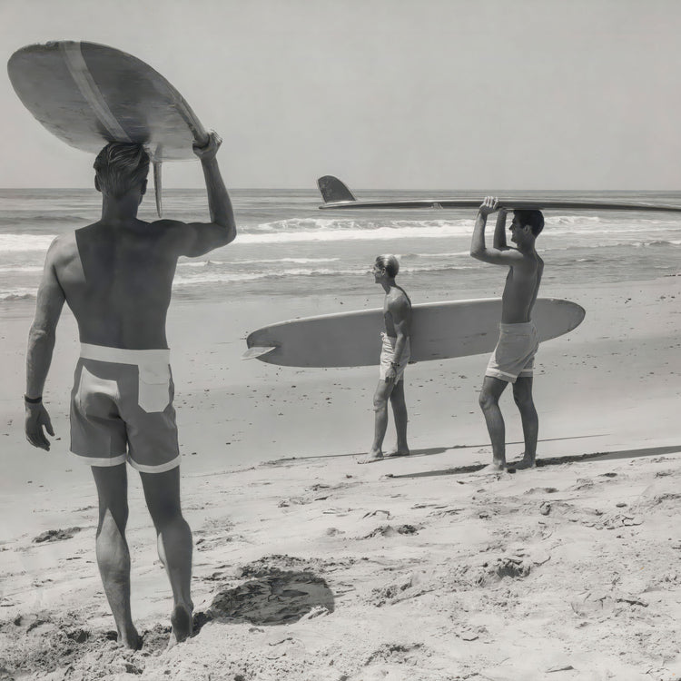 The Endless Summer (1966)