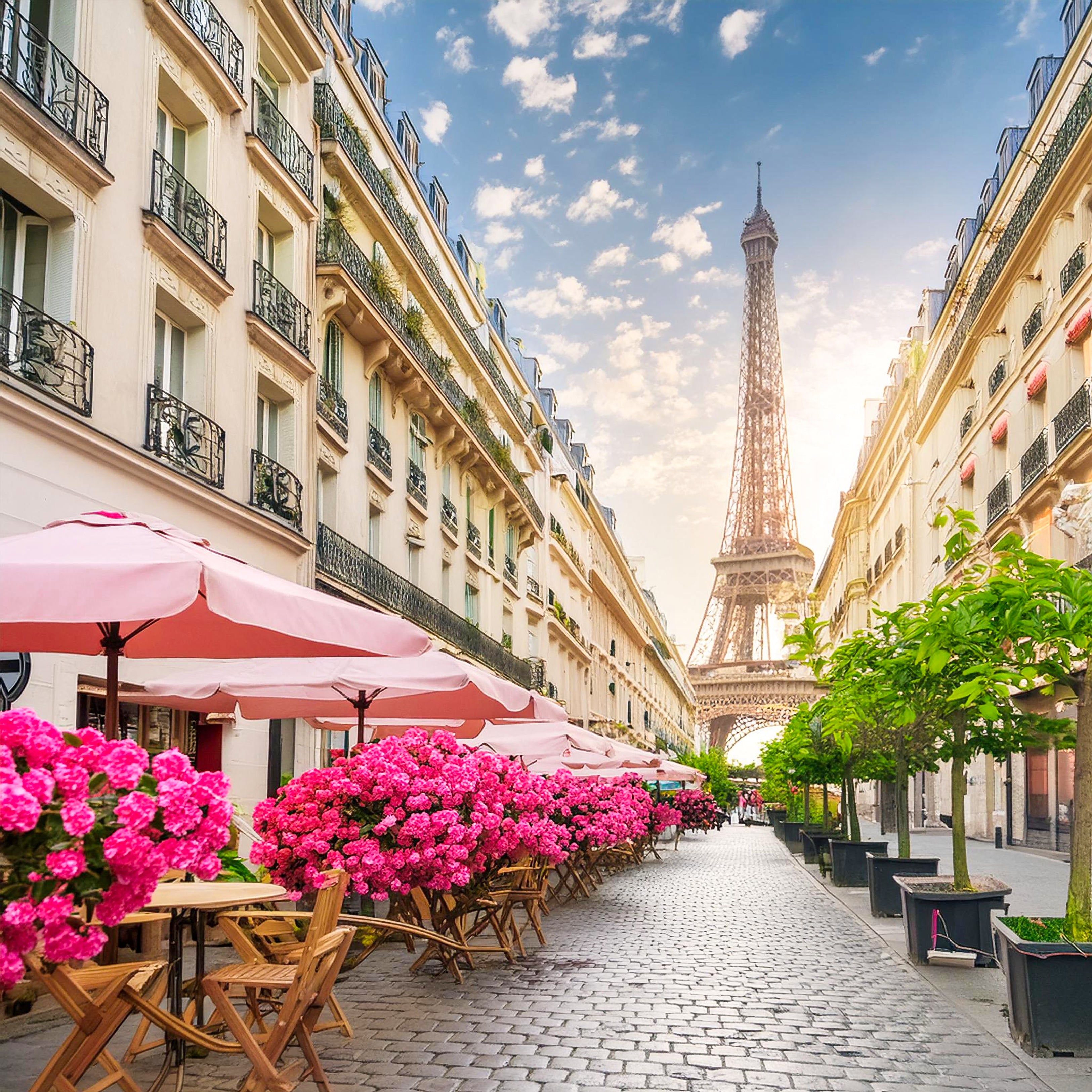 La Vie en Rose – Paris Edition (Square)