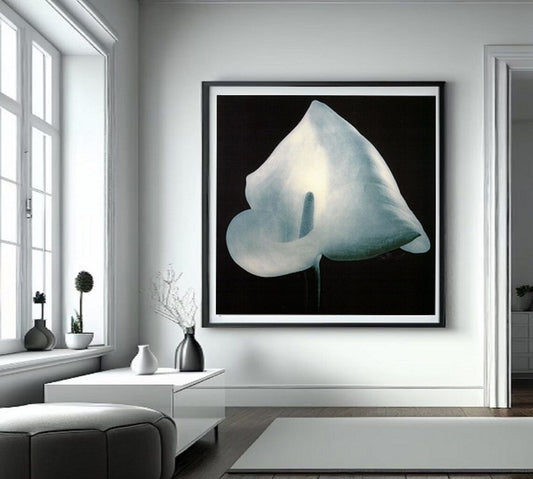 Petal Reverie