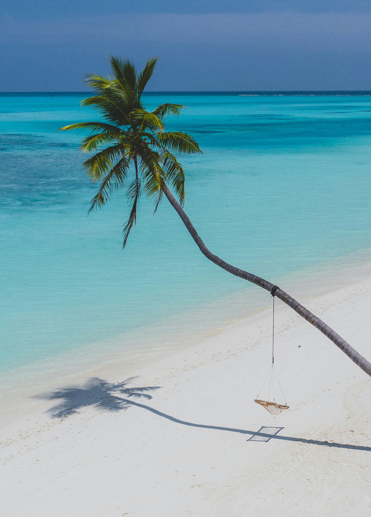 Leaning Into Paradise