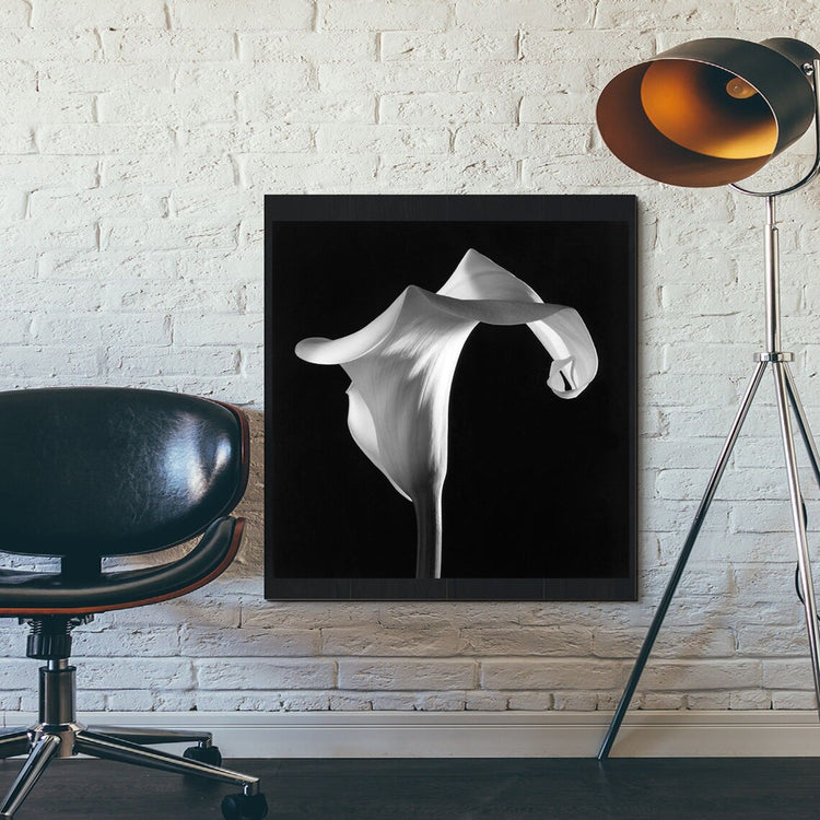 Ivory Whisper