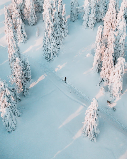 Solo Skier