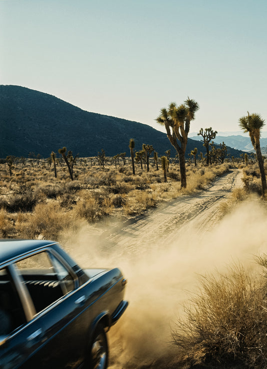 Mojave Madness (Portrait)