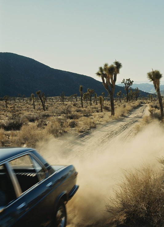 Mojave Madness (Portrait)