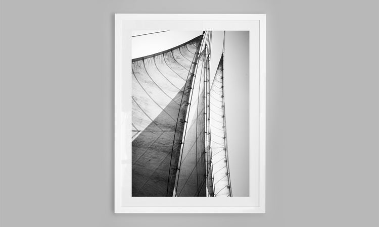 Monochrome Motion